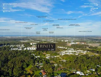 Trinity Estate - Buderim Aerial