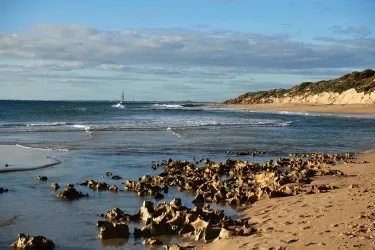 Tuckey Cove Estate - Dudley Lifestyle