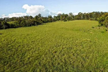 Willow Brae - Top Camp