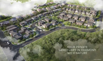 Woodlands Estate - Vineyard Render