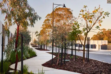 Myella Estate - Wanneroo - Lot 164