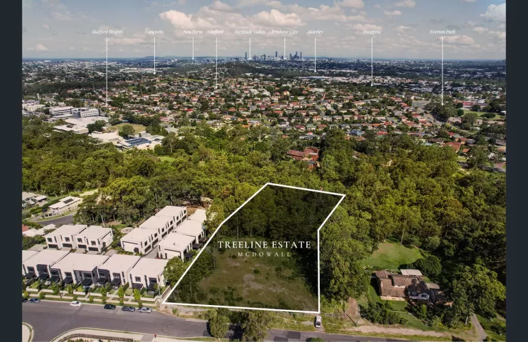 Treeline Estate - Mcdowall
