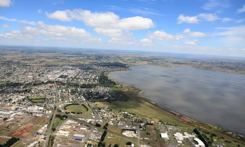 SpringBank Estate - Elliminyt