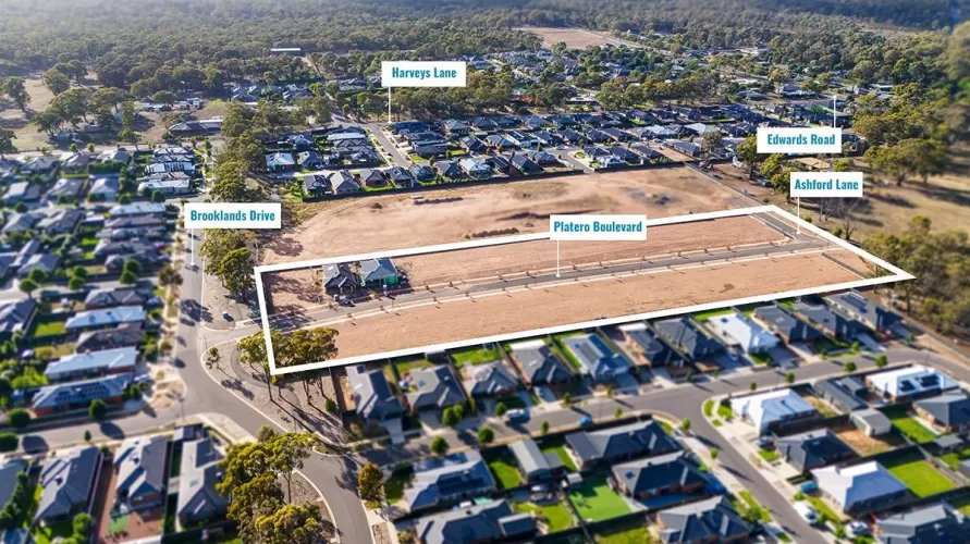 Bartels Run - Jackass Flat