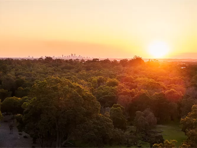 Bushmead Estate - Bushmead