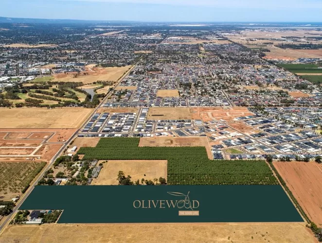 Olivewood Estate - Munno Para Downs