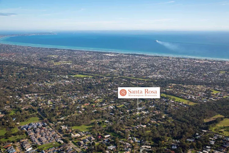 Santa Rosa Estate - Rosebud