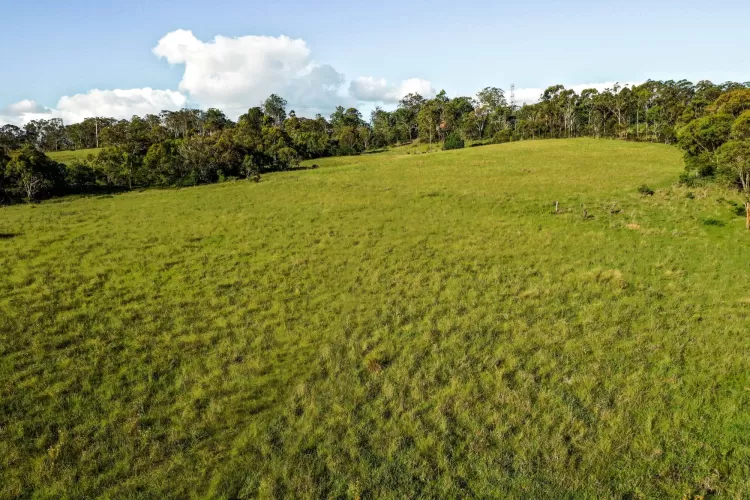 Willow Brae - Top Camp