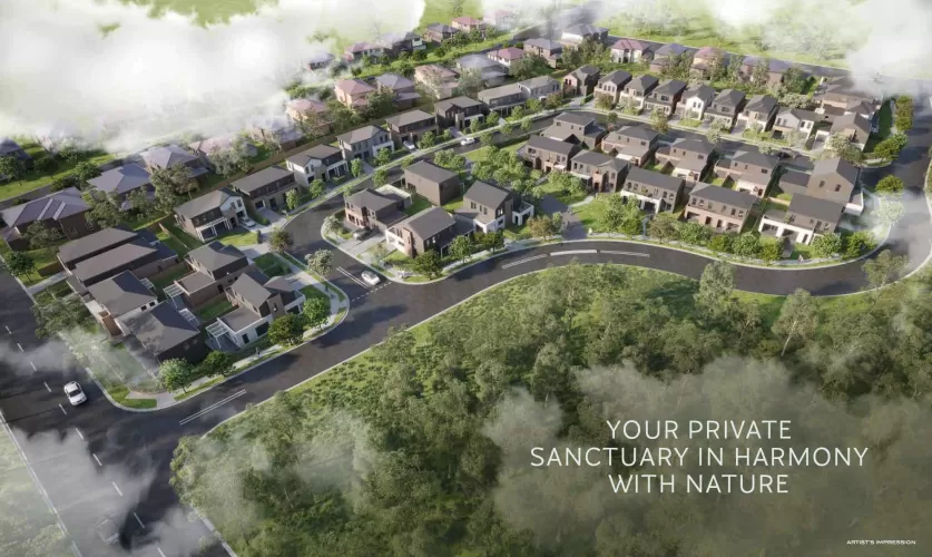 Woodlands Estate - Vineyard