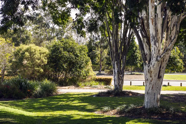 Arise Estate - Rochedale - Lot 2523 Lifestyle