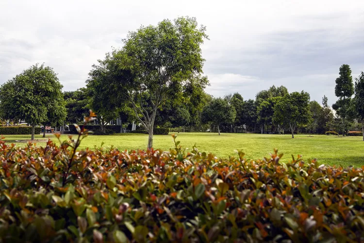 Arise Estate - Rochedale - Lot 9 Lifestyle