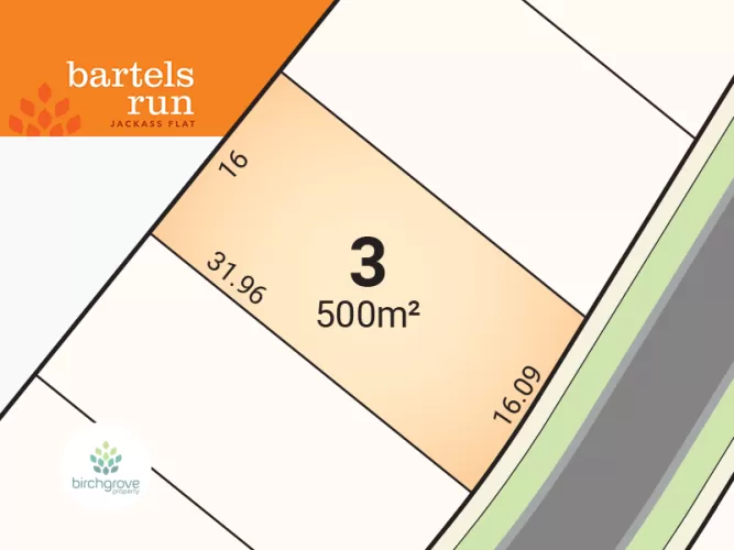 Bartels Run - Jackass Flat - Lot 3
