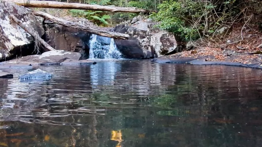 Belledeer Estate - Bellthorpe - Lot 5