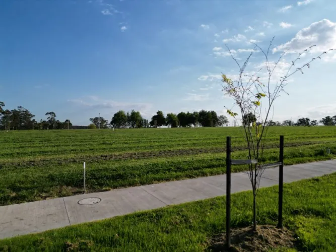 Drouin Fields Estate - Drouin - Lot 137