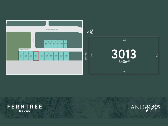 Ferntree Ridge Estate - Drouin - Lot 3013