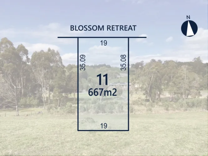 Neerim Lakes Estate - Neerim South - Lot 11