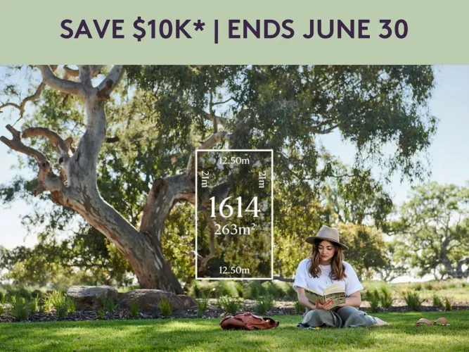 Olivine Estate - Donnybrook - Lot 1614