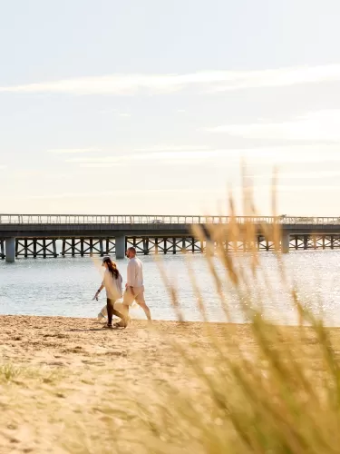 Palomino - Armstrong Creek - Lot 113