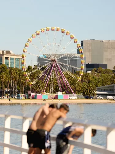 Palomino - Armstrong Creek - Lot 115