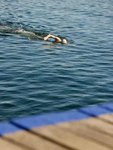 Palomino - Armstrong Creek - Lot 124