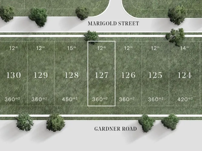 Saint Eves Estate - Rochedale - Lot 127