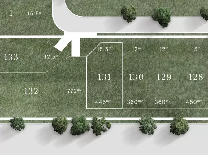 Saint Eves Estate - Rochedale - Lot 131