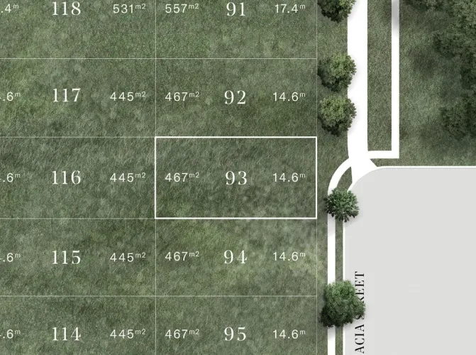Saint Eves Estate - Rochedale - Lot 93