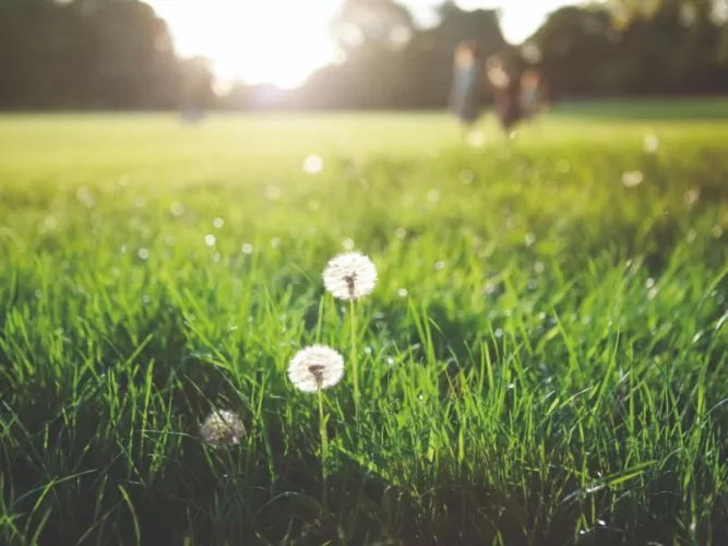 Stockland Starling - Officer - Lot TBC