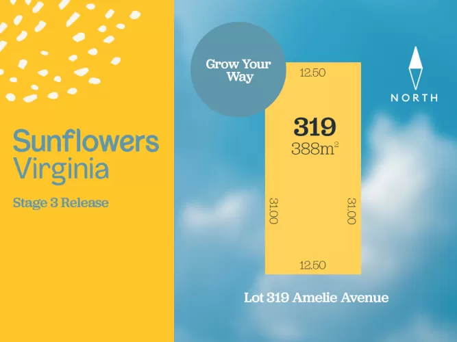 Sunflowers Estate - Virginia - Lot 319 Aerial