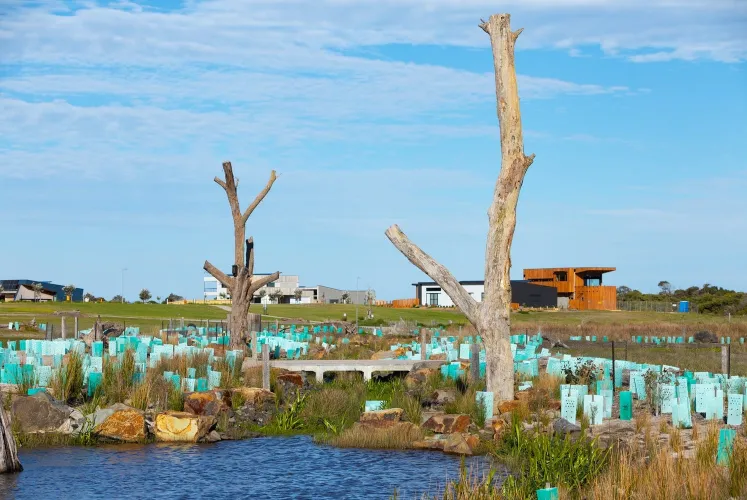 The Cape Estate - Cape Paterson - Lot 209