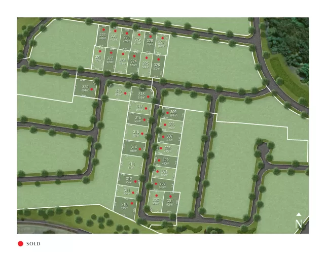 The Sanctuary Port Macquarie Estate - Thrumster - Lot 313 Release Map