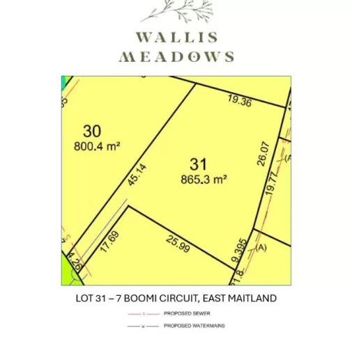 Wallis Meadows Estate - East Maitland - Lot 31